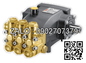 Đầu bơm 21 + đầu ống hơi