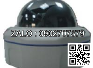 Camera áp trần D3W-32S