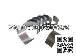 Bộ miễng dên , Miễng cốt máy cos +0.50 động cơ DEUTZ TCD6.1L6 , 6 CYL , CM3