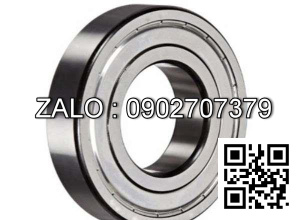 Vòng bi 6006ZN