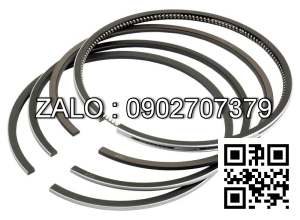 Bạc xéc măng động cơ PERKINS 1006.60TW , 6 CYL , CM3