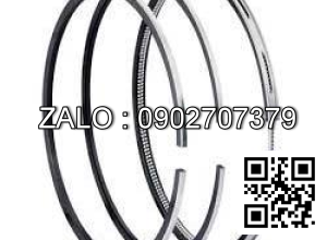 Bạc xéc măng động cơ DEUTZ 6M628 , 6 CYL , CM3