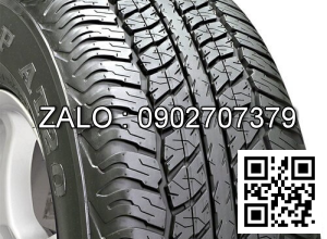Lốp xe 165/65R13 Dunlop
