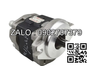 Hydraulic Pump SGP1A31.9D2H9-L438T