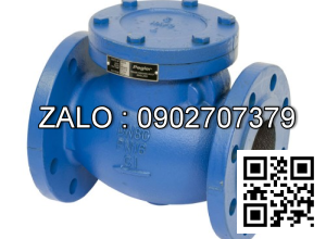 Van 1 chiều mặt bích DN250