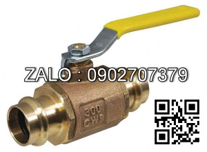 Van bi đồng không ren nối ống 2 ngã DN15