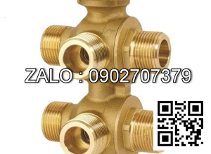 Van bi Inox ren trong và ren ngoài 6 ngã DN100