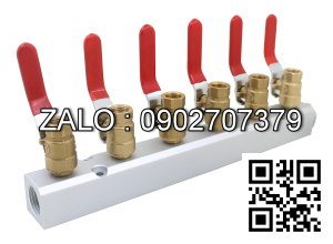 Van bi nhựa PVC ren trong và ren ngoài 6 ngã DN50