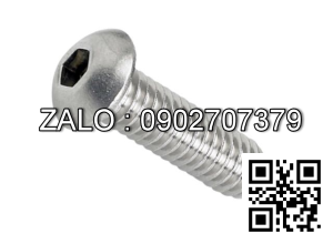 Bulong dau luc giac inox 304 M8*20