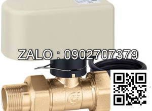 Van bi thau điều khiển khí nén rắc co 2 ngã DN50