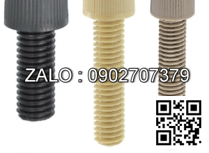 Bulong nhựa đầu lục giác chìm PEEK M20 ×2.5×110 mm