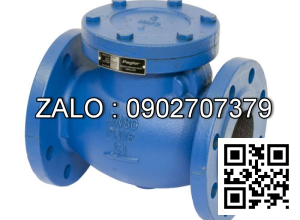 Van 1 chiều mặt bích DN300