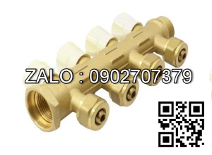 Van bi thau ren trong và ren ngoài 8 ngã DN8