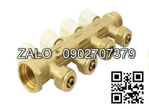 Van bi thau ren trong và ren ngoài 8 ngã DN34