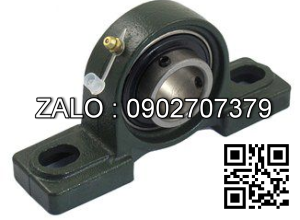 Gối đỡ ASAHI UCF 313