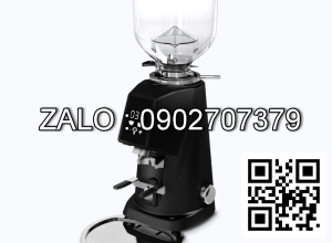 Máy xay cà phê Fiorenzato F4 E