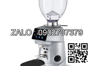 Máy xay cà phê Fiorenzato F64 E XG