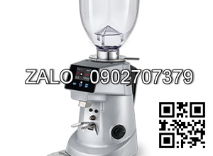 Máy xay cà phê Fiorenzato F83 EV2