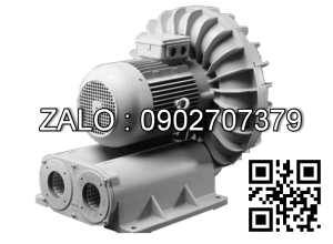 MÁY HÚT CHÂN KHÔNG & THỔI KHÍ DZQ-600E0