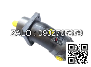 Bơm thủy lực Piston TAIZHOU A2F80W5S3