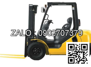 Xe nâng hàng 30D-7