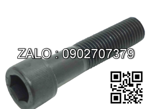 Bulong lục giác M16x65mm