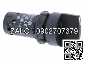 Công tắc xoay 2 vị trí XB7ND25 1NO+1NC