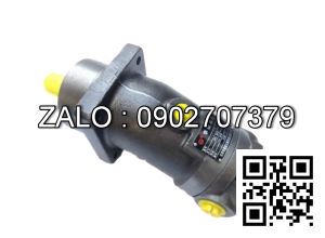 Bơm thủy lực Piston TAIZHOU A2F10W1S6