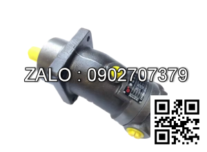 Bơm thủy lực Piston TAIZHOU A2F12W4P2