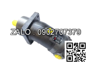 Bơm thủy lực Piston TAIZHOU A2F12L2P4