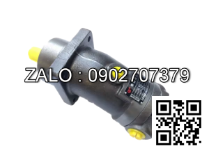 Bơm thủy lực Piston TAIZHOU A2F12R2Z3