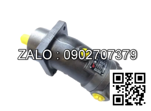 Bơm thủy lực Piston TAIZHOU A2F12W3Z6