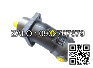 Bơm thủy lực Piston TAIZHOU A2F12L4S3