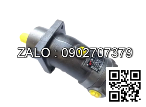 Bơm thủy lực Piston TAIZHOU A2F23R5P2