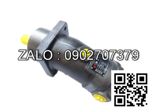 Bơm thủy lực Piston TAIZHOU A2F23L4Z1