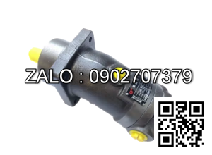 Bơm thủy lực Piston TAIZHOU A2F23L5Z2