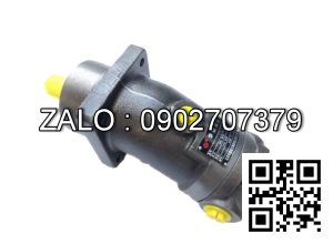 Bơm thủy lực Piston TAIZHOU A2F23L1Z7