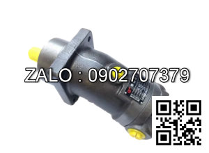 Bơm thủy lực Piston TAIZHOU A2F23L1S2