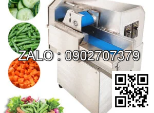 Máy Thái Rau Củ Quả Băng Tải