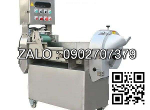 Máy cắt rau củ công nghiệp Bigstar