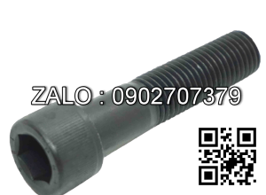 Bulong lục giác M18x50mm