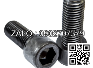 Bulong lục giác M16x60mm