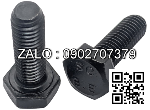 Bulong M10 cho khớp nối RP 198