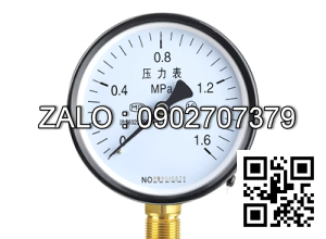 Đồng hồ đo áp suất hướng tâm Y100
