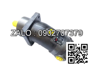 Bơm thủy lực Piston TAIZHOU A2F107W1S3