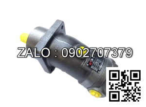 Bơm thủy lực Piston TAIZHOU A2F250W1Z3