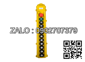 Tay bấm cầu trục 12 nút HS86