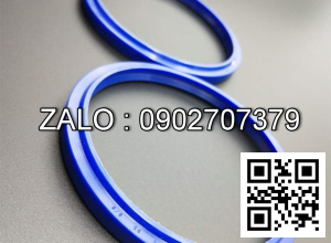 Phốt 12018036B 56x80x13/14.5 AL161384