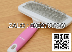 Bàn Chải Lông Chó