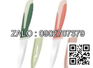 Dao có bọc cán nhựa D655 (Kiện 216 cái)